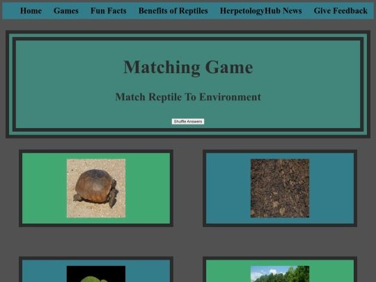 match screenshot