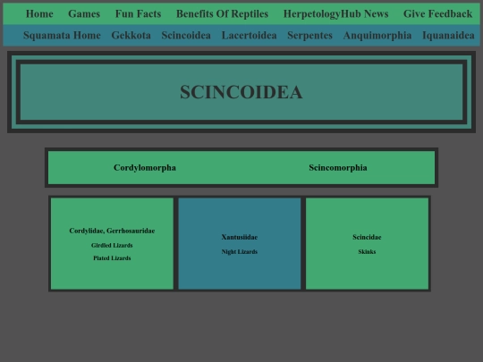 scincoidea screenshot
