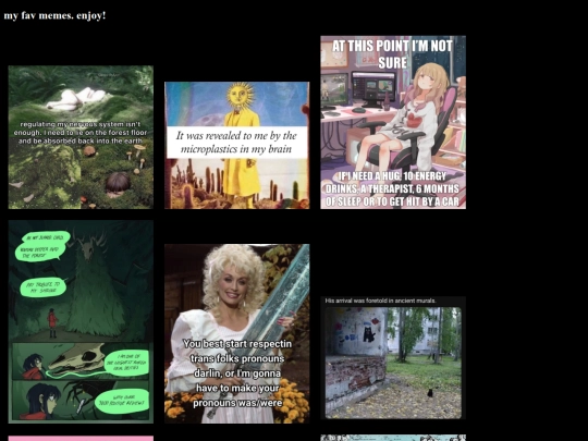 memes screenshot