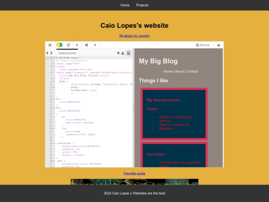 projects screenshot