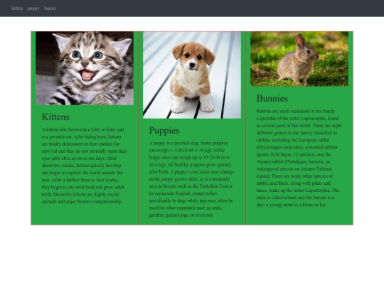 bootstrap/Ex1. Using Bootstrap 5 framework . CARDS (hosting)/Grid_Personalizado screenshot