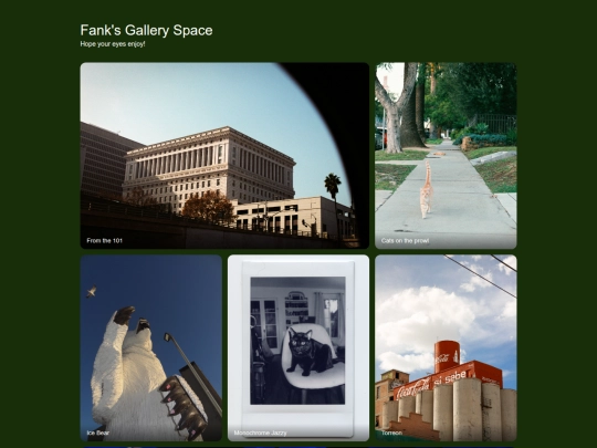LiveSite/Gallery screenshot