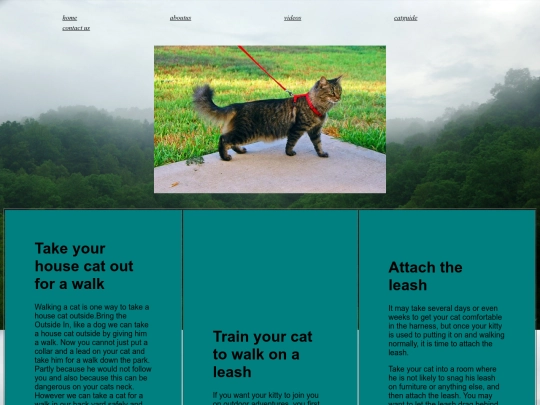 catguide screenshot