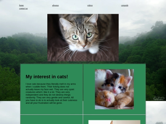 home screenshot