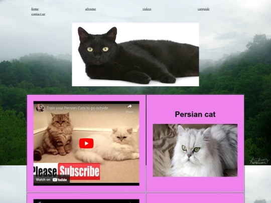 videos screenshot