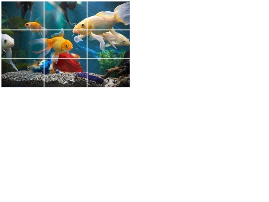 puzzle screenshot