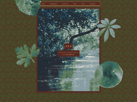 _not-found screenshot