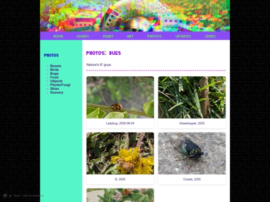 content/content_photos/photos_bugs screenshot