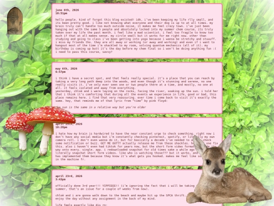 blog-entries screenshot