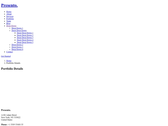 portfolio-details screenshot