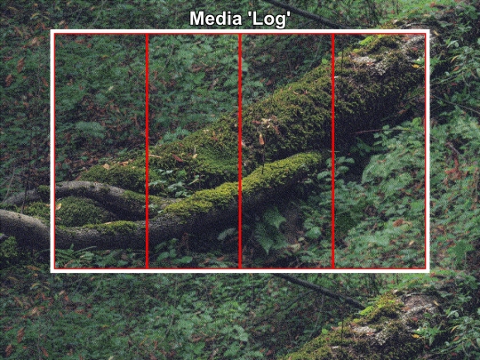 test screenshot