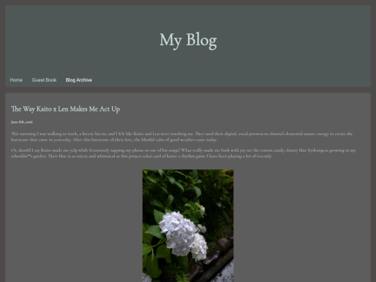 blog screenshot