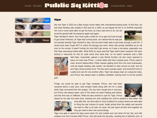 cats screenshot