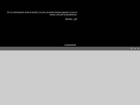 citas2 screenshot