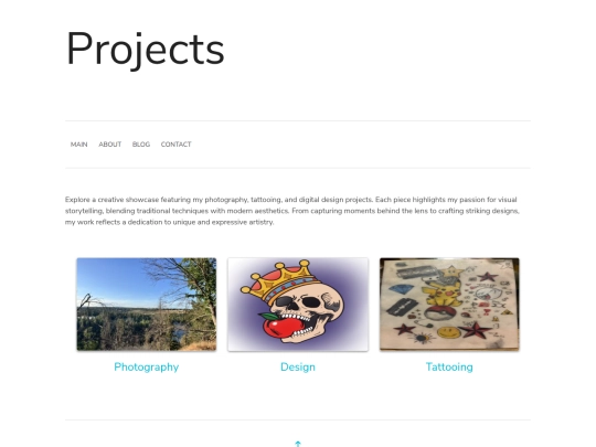 projects screenshot