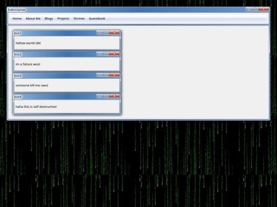 home screenshot