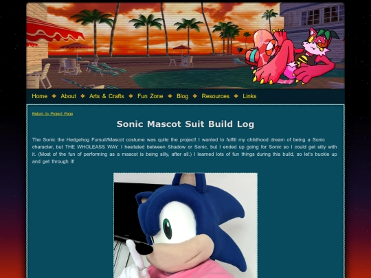 art/buildlogsonic screenshot
