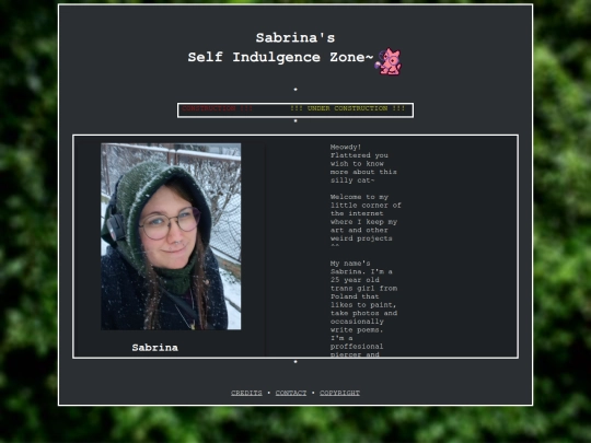 home/sub/aboutme screenshot