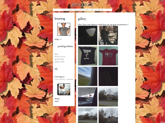 gallery screenshot