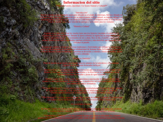 Proyecto Parcial 3.2/Paginas/informaciondelsitio screenshot