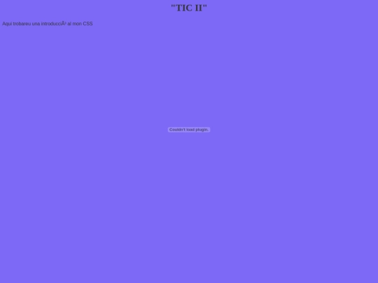 TIC screenshot