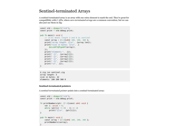 sentinel-terminated-arrays screenshot