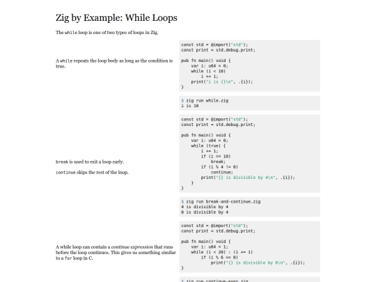 while-loops screenshot