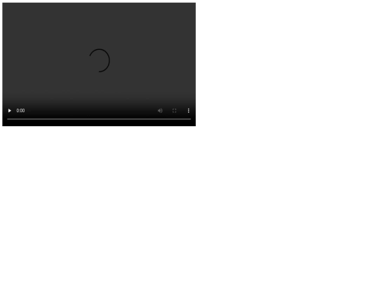 video screenshot