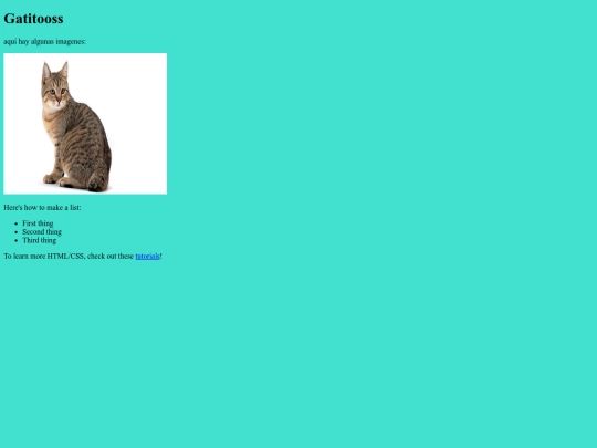 Gatos screenshot