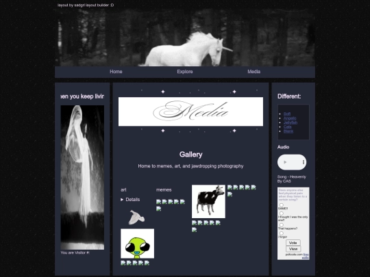 Media screenshot