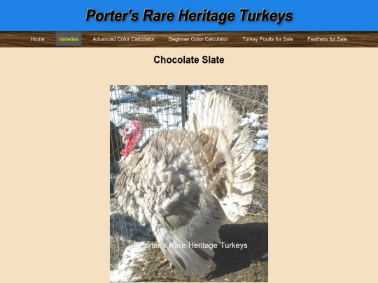 ChocolateSlate screenshot