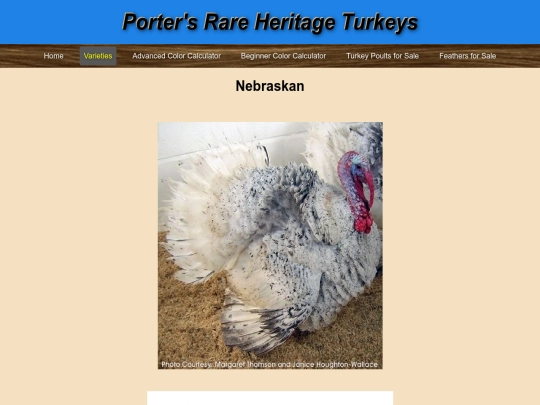 Nebraskan screenshot