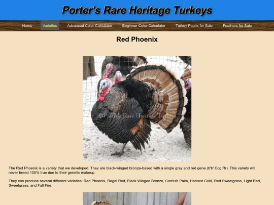 RedPhoenix screenshot