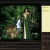 truly-tranquil.yorniq.xyz avatar