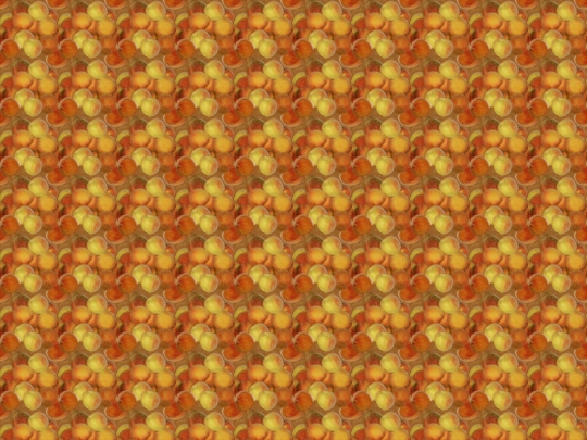 honey screenshot