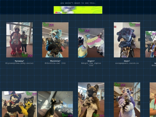dummytesting screenshot