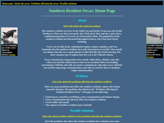 html/home screenshot
