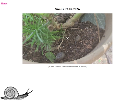 07072026 screenshot