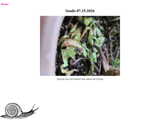 07152026 screenshot