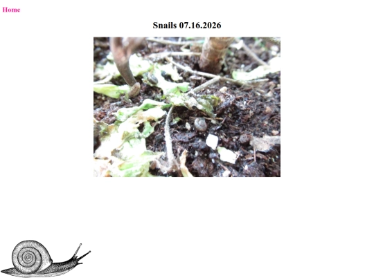 07162026 screenshot