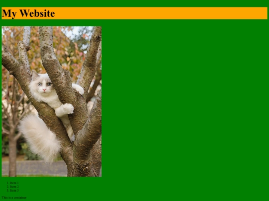 website week 3 screenshot