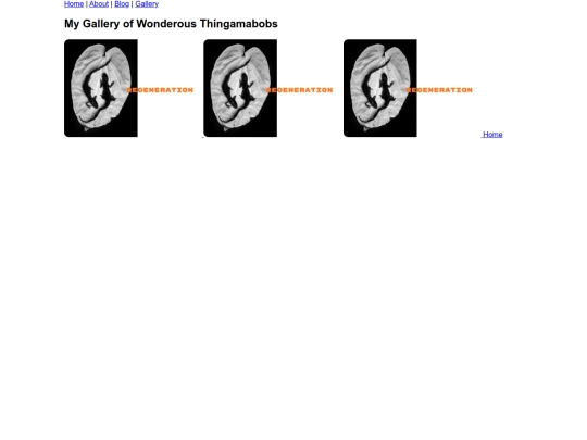 gallery screenshot