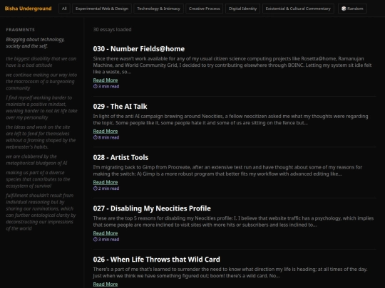 blog screenshot