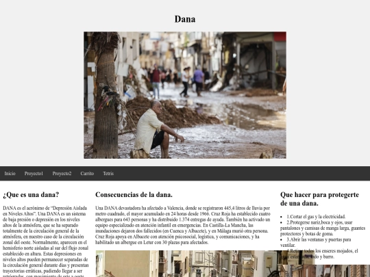 proyectoWEB/demo screenshot