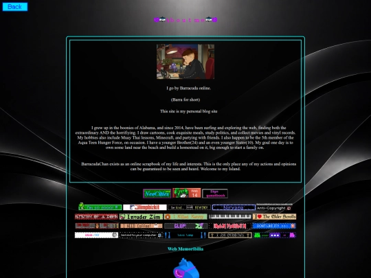 boards/about/about screenshot