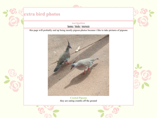 extrabirds screenshot
