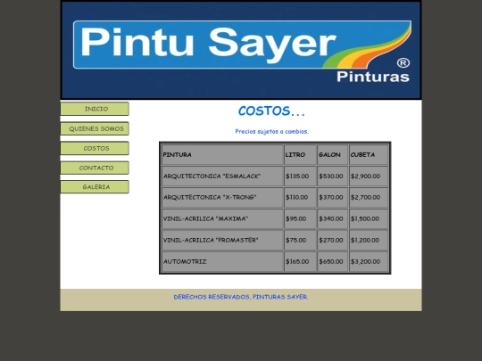 PAGINAS/costos screenshot