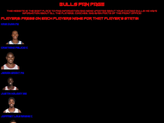 ChicagoBullsFanPage screenshot