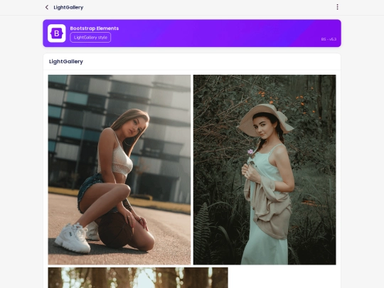 ui-lightgallery screenshot