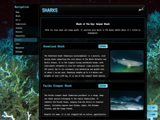 sharks screenshot
